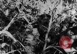 Standbild japanische Truppen Corregidor Island Philippinen, 1942, aus Sekunde 53 historischem Filmmaterial Videoclip 65675067857