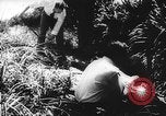 Immagine di Processo all'operazione Pastorius Sabotatori tedeschi Washington DC USA, 1942, secondo 48 filmato di repertorio 65675067929