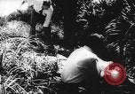 Immagine di Processo all'operazione Pastorius Sabotatori tedeschi Washington DC USA, 1942, secondo 49 filmato di repertorio 65675067929