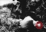 Immagine di Processo all'operazione Pastorius Sabotatori tedeschi Washington DC USA, 1942, secondo 50 filmato di repertorio 65675067929