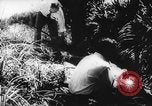 Immagine di Processo all'operazione Pastorius Sabotatori tedeschi Washington DC USA, 1942, secondo 51 filmato di repertorio 65675067929
