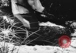 Immagine di Processo all'operazione Pastorius Sabotatori tedeschi Washington DC USA, 1942, secondo 53 filmato di repertorio 65675067929