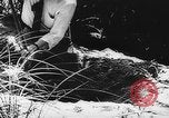 Immagine di Processo all'operazione Pastorius Sabotatori tedeschi Washington DC USA, 1942, secondo 54 filmato di repertorio 65675067929