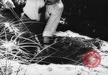 Immagine di Processo all'operazione Pastorius Sabotatori tedeschi Washington DC USA, 1942, secondo 55 filmato di repertorio 65675067929