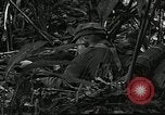 Image of Geneva Conventions and brutality against prisoners Geneva Switzerland, 1965, second 13 stock footage video 65675067931