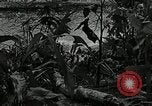 Image of Geneva Conventions and brutality against prisoners Geneva Switzerland, 1965, second 15 stock footage video 65675067931