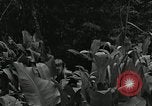 Image of Geneva Conventions and brutality against prisoners Geneva Switzerland, 1965, second 17 stock footage video 65675067931