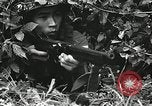 Image of Geneva Conventions and brutality against prisoners Geneva Switzerland, 1965, second 46 stock footage video 65675067931