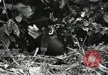 Image of Geneva Conventions and brutality against prisoners Geneva Switzerland, 1965, second 47 stock footage video 65675067931