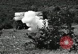 Image of Geneva Conventions and brutality against prisoners Geneva Switzerland, 1965, second 48 stock footage video 65675067931