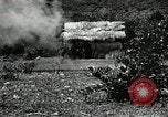 Image of Geneva Conventions and brutality against prisoners Geneva Switzerland, 1965, second 51 stock footage video 65675067931