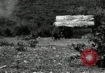 Image of Geneva Conventions and brutality against prisoners Geneva Switzerland, 1965, second 53 stock footage video 65675067931