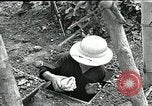 Immagine di Il trattamento umano dei prigionieri di guerra Il Vietnam, 1965, secondo 8 filmato di repertorio 65675067934