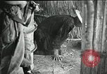 Immagine di Il trattamento umano dei prigionieri di guerra Il Vietnam, 1965, secondo 10 filmato di repertorio 65675067934
