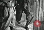 Immagine di Il trattamento umano dei prigionieri di guerra Il Vietnam, 1965, secondo 12 filmato di repertorio 65675067934