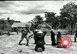 Immagine di Il trattamento umano dei prigionieri di guerra Il Vietnam, 1965, secondo 18 filmato di repertorio 65675067934