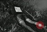 Immagine di Il trattamento umano dei prigionieri di guerra Il Vietnam, 1965, secondo 54 filmato di repertorio 65675067934