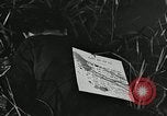Immagine di Il trattamento umano dei prigionieri di guerra Il Vietnam, 1965, secondo 55 filmato di repertorio 65675067934