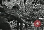 Immagine di Il trattamento umano dei prigionieri di guerra Il Vietnam, 1965, secondo 60 filmato di repertorio 65675067934