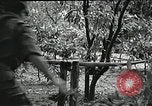 Immagine di Il trattamento umano dei prigionieri di guerra Il Vietnam, 1965, secondo 61 filmato di repertorio 65675067934