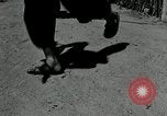 Image of ARVN forces attacking Viet Cong Vietnam, 1965, second 21 stock footage video 65675067936