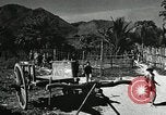 Image of ARVN forces attacking Viet Cong Vietnam, 1965, second 34 stock footage video 65675067936