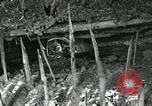 Image of ARVN forces attacking Viet Cong Vietnam, 1965, second 36 stock footage video 65675067936
