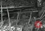 Image of ARVN forces attacking Viet Cong Vietnam, 1965, second 38 stock footage video 65675067936