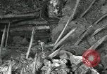 Image of ARVN forces attacking Viet Cong Vietnam, 1965, second 39 stock footage video 65675067936