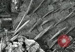 Image of ARVN forces attacking Viet Cong Vietnam, 1965, second 40 stock footage video 65675067936