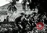 Image of ARVN forces attacking Viet Cong Vietnam, 1965, second 52 stock footage video 65675067936