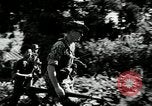Image of ARVN forces attacking Viet Cong Vietnam, 1965, second 53 stock footage video 65675067936