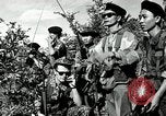 Image of ARVN forces attacking Viet Cong Vietnam, 1965, second 55 stock footage video 65675067936