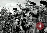 Image of ARVN forces attacking Viet Cong Vietnam, 1965, second 56 stock footage video 65675067936
