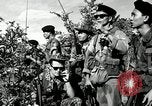Image of ARVN forces attacking Viet Cong Vietnam, 1965, second 57 stock footage video 65675067936