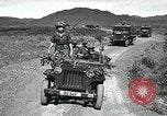 Image of ARVN forces attacking Viet Cong Vietnam, 1965, second 59 stock footage video 65675067936