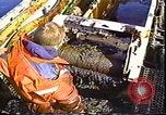 Standbild Exxon Valdez oil spill Valdez Alaska USA, 1989, aus Sekunde 50 historischem Filmmaterial Videoclip 65675067944