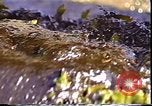 Standbild Exxon Valdez oil spill Valdez Alaska USA, 1989, aus Sekunde 53 historischem Filmmaterial Videoclip 65675067944