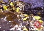 Standbild Exxon Valdez oil spill Valdez Alaska USA, 1989, aus Sekunde 55 historischem Filmmaterial Videoclip 65675067944