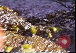 Standbild Exxon Valdez oil spill Valdez Alaska USA, 1989, aus Sekunde 56 historischem Filmmaterial Videoclip 65675067944