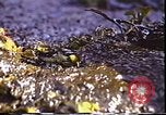 Standbild Exxon Valdez oil spill Valdez Alaska USA, 1989, aus Sekunde 57 historischem Filmmaterial Videoclip 65675067944