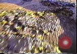 Standbild Exxon Valdez oil spill Valdez Alaska USA, 1989, aus Sekunde 58 historischem Filmmaterial Videoclip 65675067944