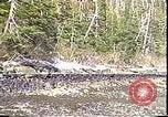 Immagine di Exxon Valdez fuoriuscite di olio Valdez Alaska USA, 1989, secondo 5 filmato di repertorio 65675067946