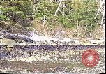 Immagine di Exxon Valdez fuoriuscite di olio Valdez Alaska USA, 1989, secondo 6 filmato di repertorio 65675067946