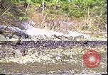 Immagine di Exxon Valdez fuoriuscite di olio Valdez Alaska USA, 1989, secondo 7 filmato di repertorio 65675067946