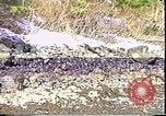 Immagine di Exxon Valdez fuoriuscite di olio Valdez Alaska USA, 1989, secondo 8 filmato di repertorio 65675067946