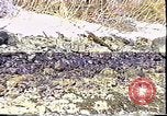 Immagine di Exxon Valdez fuoriuscite di olio Valdez Alaska USA, 1989, secondo 9 filmato di repertorio 65675067946