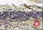 Immagine di Exxon Valdez fuoriuscite di olio Valdez Alaska USA, 1989, secondo 10 filmato di repertorio 65675067946