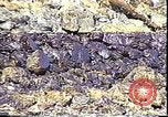 Immagine di Exxon Valdez fuoriuscite di olio Valdez Alaska USA, 1989, secondo 12 filmato di repertorio 65675067946