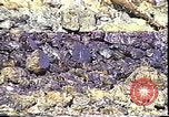 Immagine di Exxon Valdez fuoriuscite di olio Valdez Alaska USA, 1989, secondo 13 filmato di repertorio 65675067946